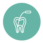 Root Canals